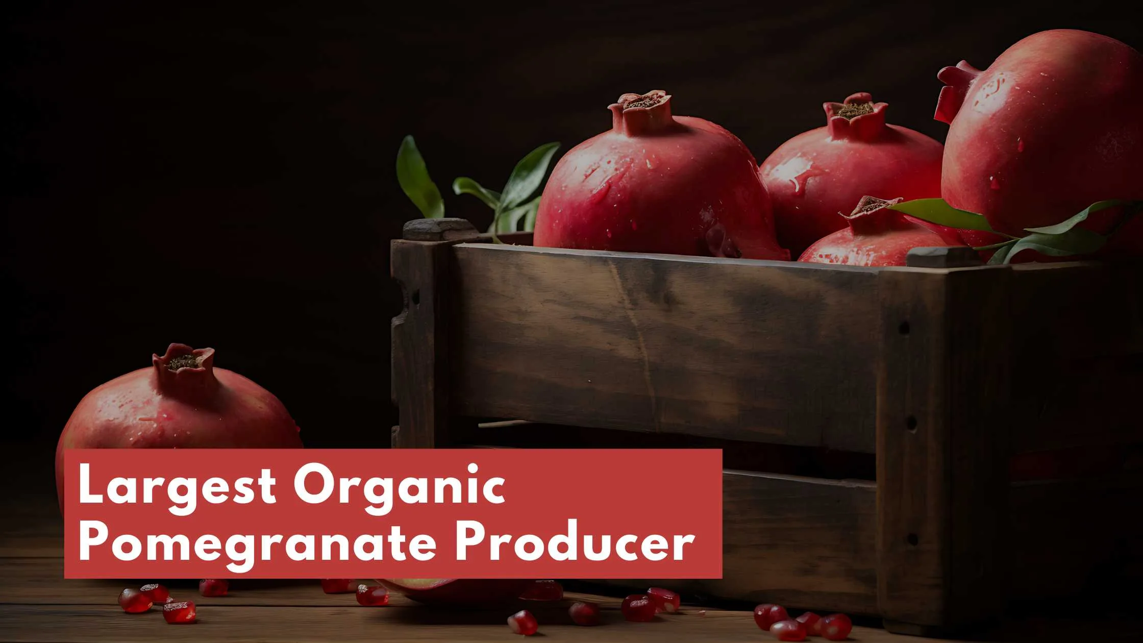 Largest Organic Pomegranate Producer