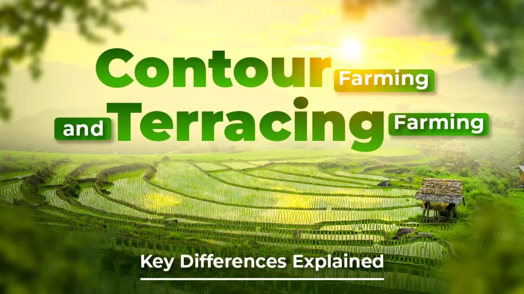 Contour Farming And Terracing Farming: Key Differences Explained